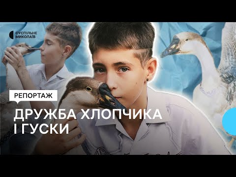 Видео: У миколаївській родині живе гуска Дуся - домашня улюблениця