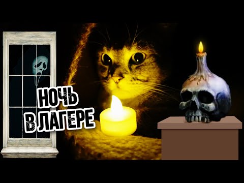 Видео: НОЧЬ В ЗВЕРОЛАГЕРЕ ИЗ КАРТОНА! ВЫЗВАЛИ ДУХ САНТЫ