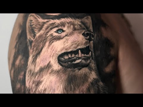 Видео: Бьем волка🐺 Дух силы на коже🔥#tattoo #viral #subscribe #tattooprocess
