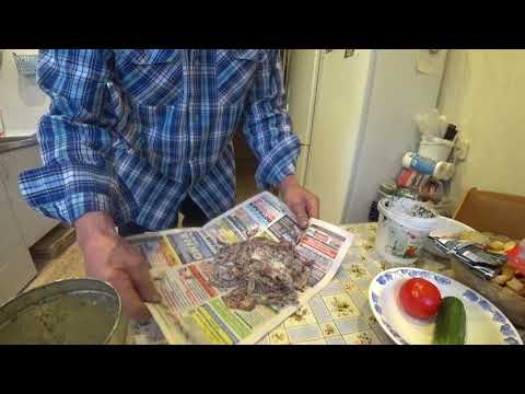 Видео: Морской червь.