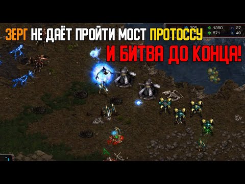 Видео: Старкрафт P VS Z Зажатие зергом протосса и битва до последнего минерала!