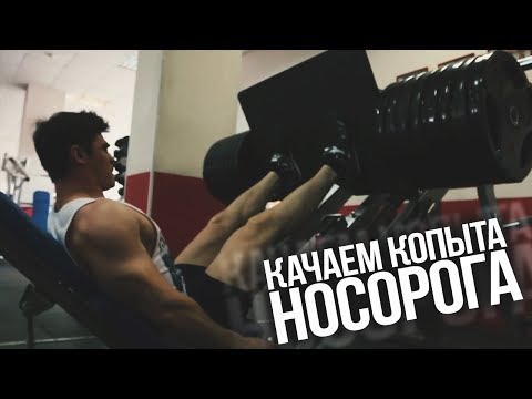 Видео: Качаем копыта НОСОРОГА!