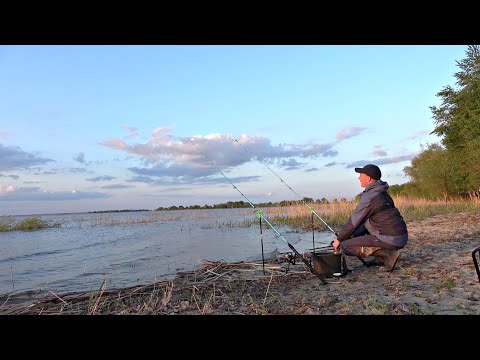 Видео: НА ДОНКИ КРОКОДИЛ клюёт разная рыба! Душевная рыбалка на дикой реке.