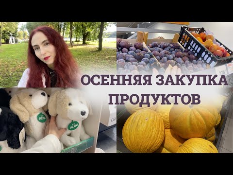 Видео: Сколько Реально Стоит Жить В Калининграде?
