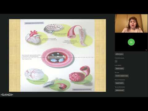 Видео: Сахарный диабет и его осложнения