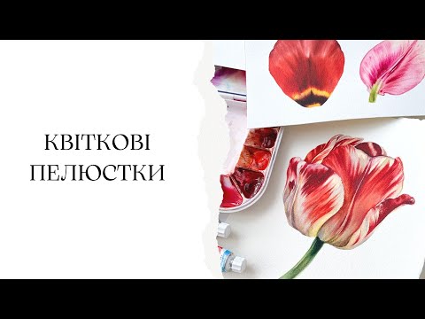 Видео: Акварельна ботаніка | Малюємо реалістичні пелюстки квітів | Уроки для початківців