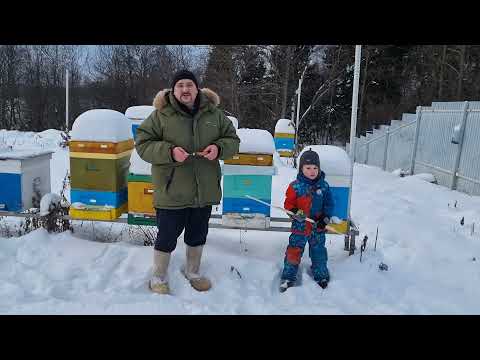 Видео: 📘 О верхней вентиляции в ульях из ППС и ППУ 📘