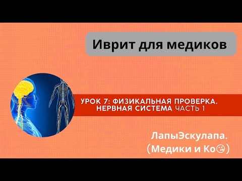 Видео: Урок 7. Медицинский иврит. Нервная система часть 1.