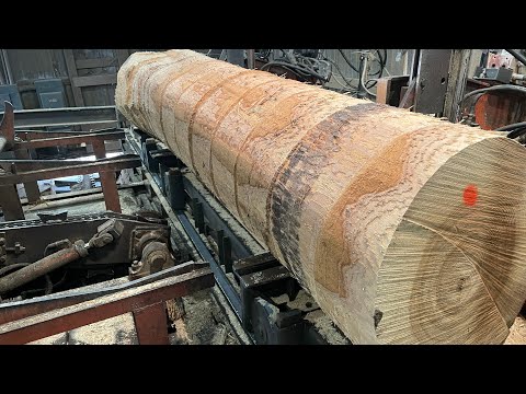 Видео: Распиловка большого здорового ясеня!! #116