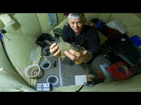 Видео: БЕШЕНЫЙ клёв ЛАПУШКОВ. Ночная рыбалка. Зимняя рыбалка .