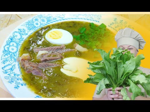 Видео: Зелёные Щи из щавеля и крапивы.