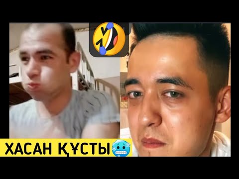 Видео: Хасан құсып қойды🥶 Сампо & Хасан Батл