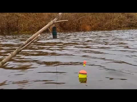 Видео: Ловля щуки на живца. Самоловки и поплавочная снасть