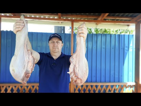 Видео: КАКОЙ ОН У ВАС ОГРОМНЫЙ|ШАШЛЫК из ЯЗЫКОВ