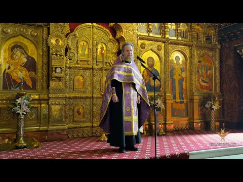 Видео: Проповедь в Неделю 5-ю Великого поста. Прп. Марии Египетской | Иерей Александр Назин | 21.04.2024 г.