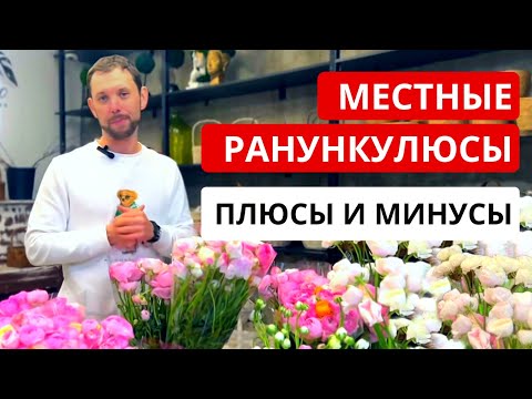 Видео: МЕСТНЫЕ РАНУНКУЛЮСЫ! Особенности, плюсы / минусы, качество, цена. Сравнение с импортным ранункулюсом