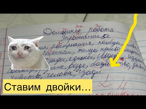Видео: Проверка тетрадей 2 класс.