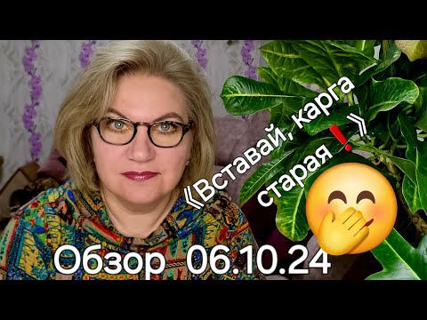 Видео: Обзор. Золотого ТЕЛЁНКА 🐄 надо беречь 💯❗️