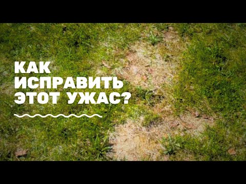 Видео: Пятна на газоне весной. Что делать?