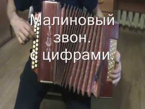 Видео: Малиновый звон с нотами в цифрах.