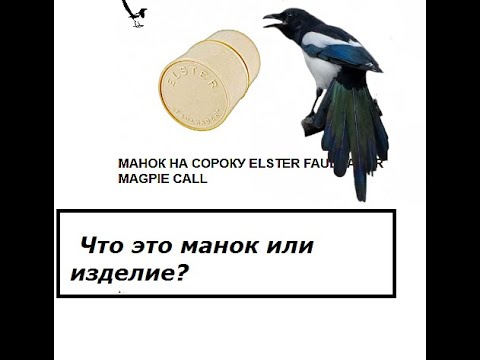 Видео: ответы на вопросы сезон 2025 г..