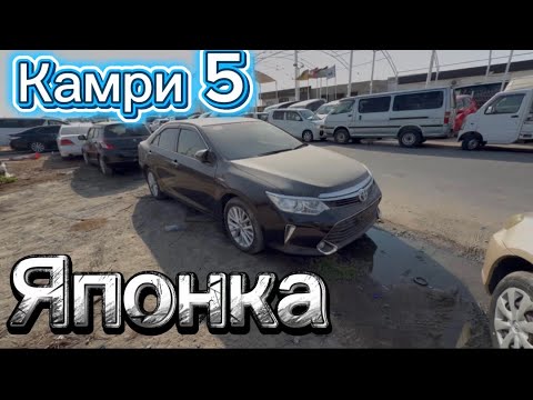 Видео: Мошинбозори Дубай японский площадка 