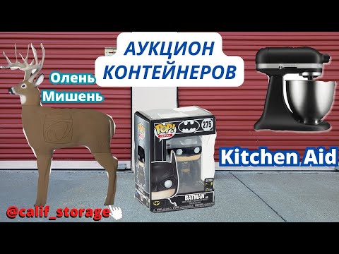 Видео: Французские Лыжи / Полный Мешок Монет / Оборудование Для Лазерного Шоу / Ну И Олень