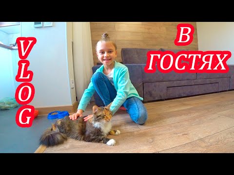 Видео: VLOG В Гостях у друзей / Подружились с кошкой