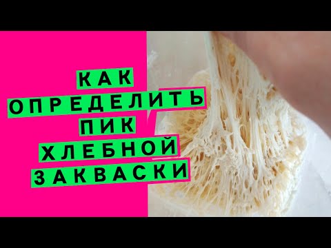 Видео: Подъем хлебной закваски: что такое пик? как определить, что пора печь? (пошаговое объяснение)