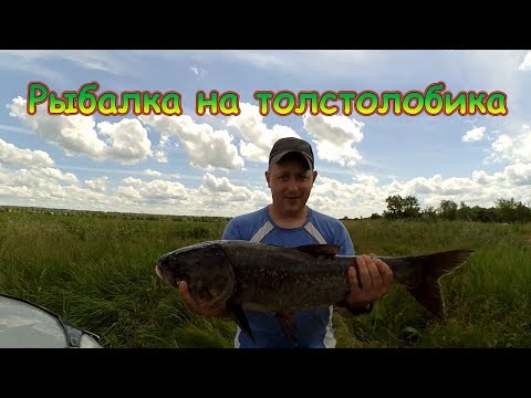 Видео: Рыбалка на толстолобика. Ловля на технопланктон.