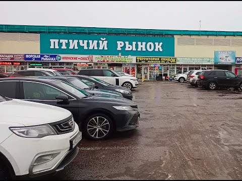 Видео: Птичий рынок Садовод