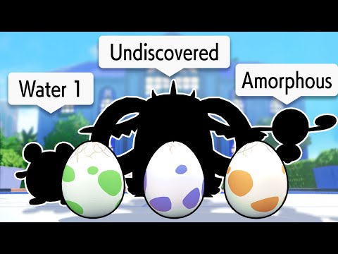 Видео: Выбирайте закваску, зная только ее яичную группу!