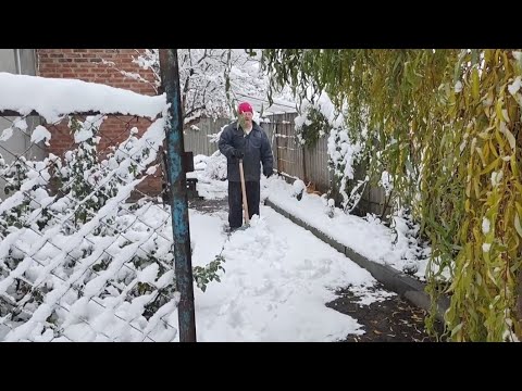 Видео: Друзі, минулого року, 14 листопада, вже був сніг! 