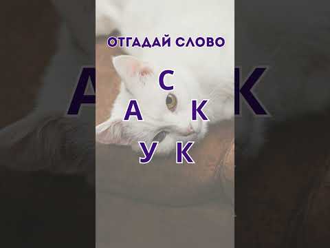 Видео: Отгадай слово #проверьсебя #развитиемозга #квиз #отгадайслово #тренируймозг
