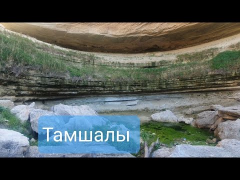 Видео: Тамшалы Маңғыстау