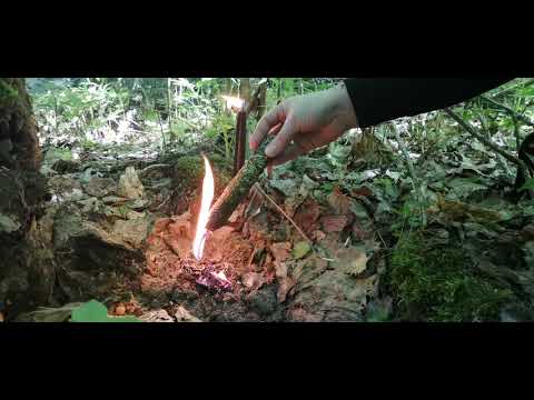 Видео: ЧИСТКА ОТ ВСЕХ БЕД#кладбище#порча#недоля