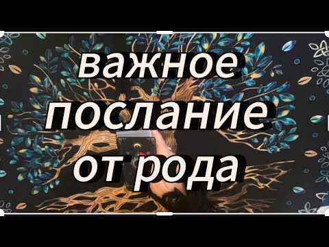 Видео: Тебе передаёт род‼️ #род #тароновыймужчина #таропсихология