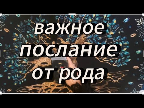 Видео: Тебе передаёт род‼️ #род #тароновыймужчина #таропсихология