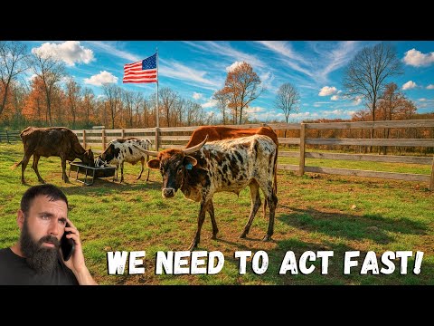 Видео: Он распространяется по пастбищной траве! 😳