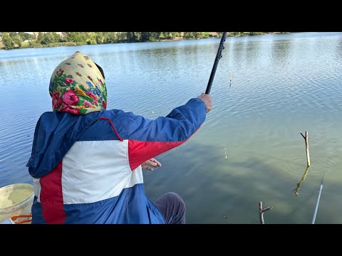 Видео: Прийшла Баба Галя і обловила мене😉Рибалка на Поплавок і Кормачки🐟