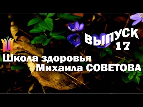 Видео: Школа здоровья Михаила СОВЕТОВА  ВЫПУСК 17