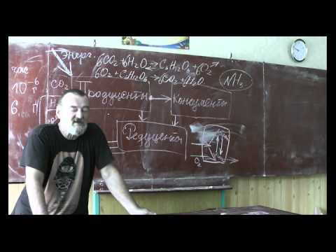 Видео: Драконоведение. Часть 25