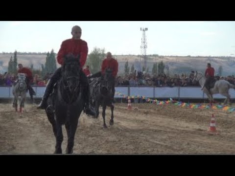 Видео: В Суровикино к Дню района открыли новый конно-спортивный комплекс