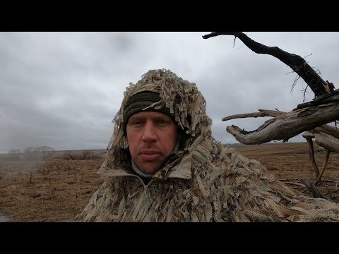 Видео: На Весеннем лугу…