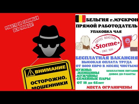 Видео: фейковая вакансия в Бельгии