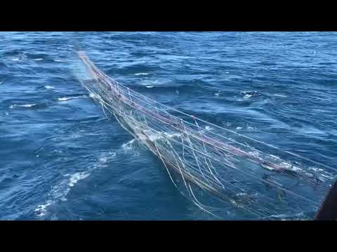 Видео: Подъем трала окунь. Море Ирмингера.