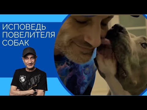 Видео: Исповедь Повелителя Собак .  Revelations of the Dogs Lord