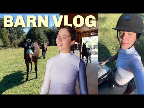Видео: BARN VLOG: перевозка лошадей в Дувр, новая одежда для верховой езды и верховая езда на лошадях!