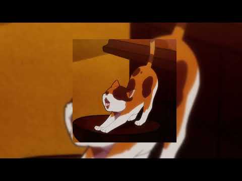 Видео: тёплые коты (speed up)