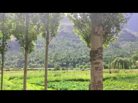 Видео: Памир. Рушан. 2018